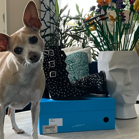 John Fluevog Black Star Ankle Signature triple buckle boot - Picture 10 of 10